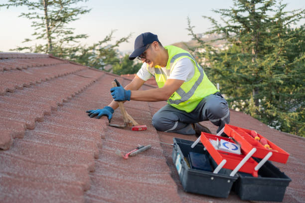 Best Roof Gutter Cleaning  in Pontiac, MI